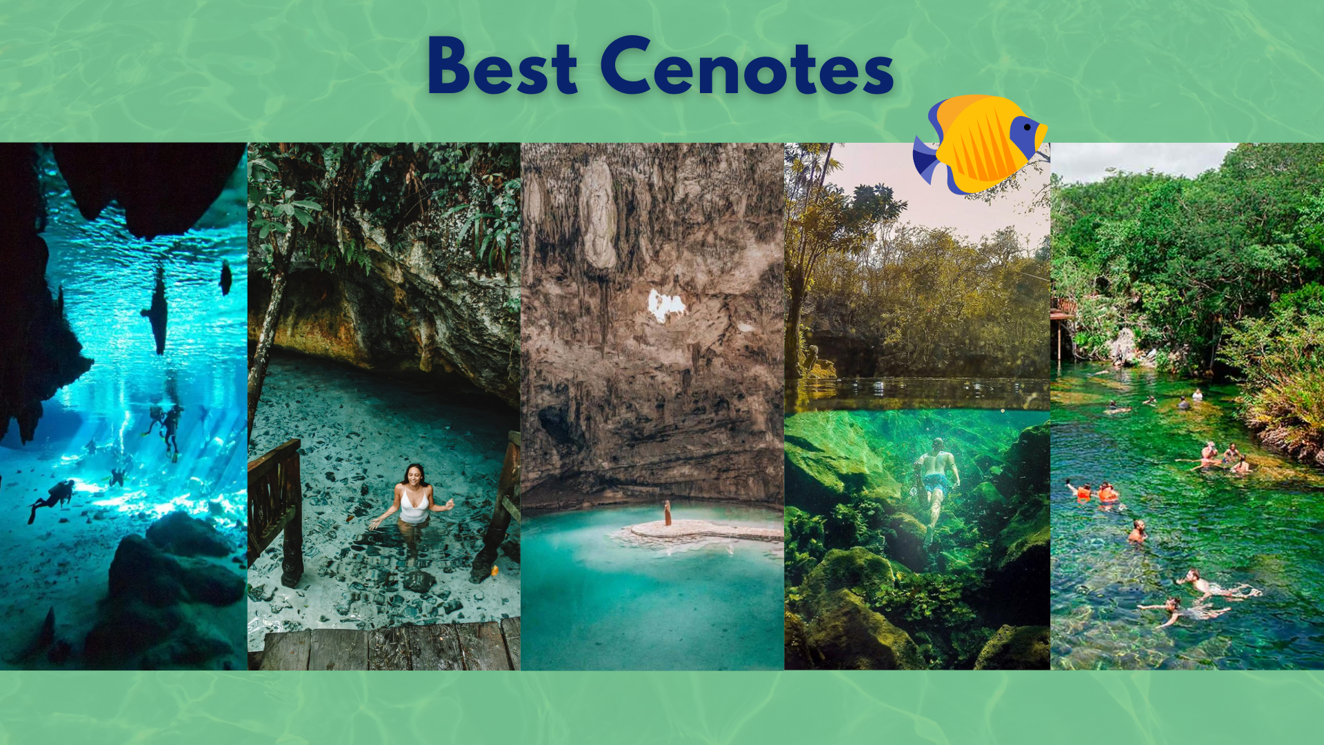 Best Cenotes